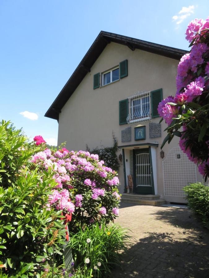 Ferienwohnung Panorama Wertheim Luaran gambar